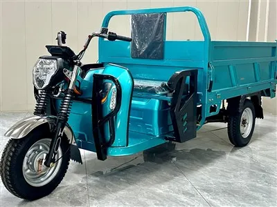 Tricycle kargo elektrik untuk orang dewasa